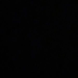 Meet your Posher, Paige